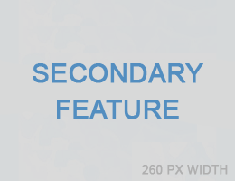 Secondary Feature